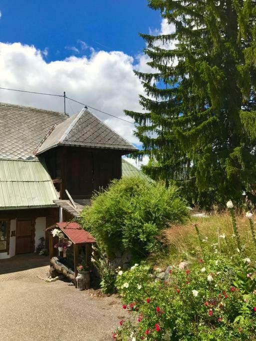 Echtes Schwarzwaldhaus - Traditionell & Modern ベルナウ・イム・シュヴァルツヴァルト エクステリア 写真