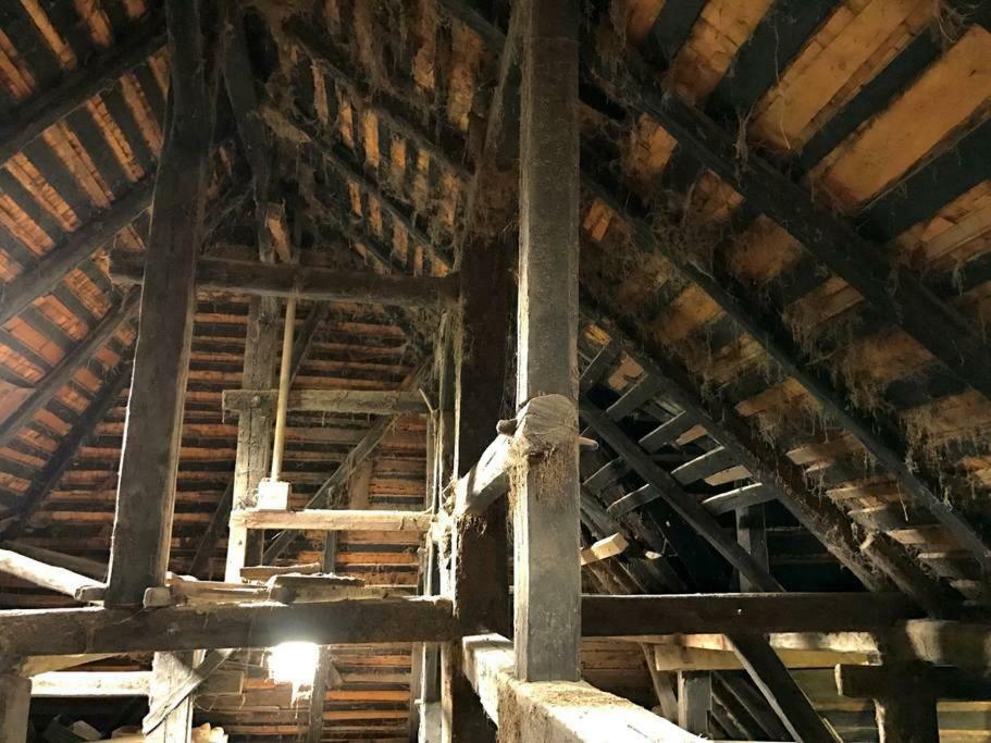 Echtes Schwarzwaldhaus - Traditionell & Modern ベルナウ・イム・シュヴァルツヴァルト エクステリア 写真